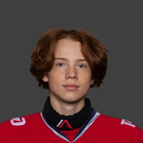 Piskunov Artem Dmitrievich