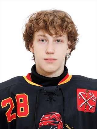 Mironenko Yaroslav Nikolaevich