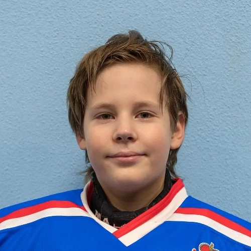 Voronkov Miron Evgenevich