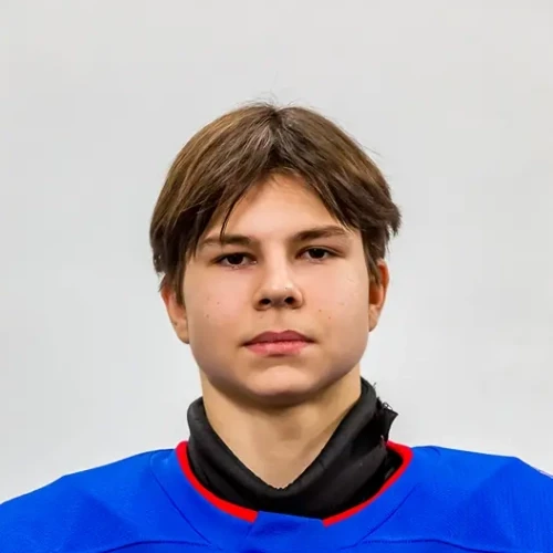 Pivovarov Stepan Gennadevich