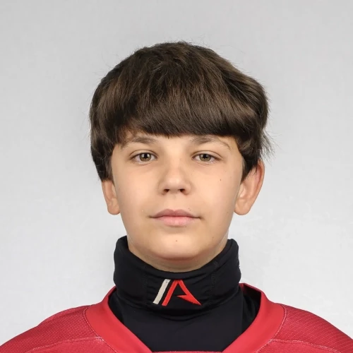Chesnokov Sergei Alekseevich