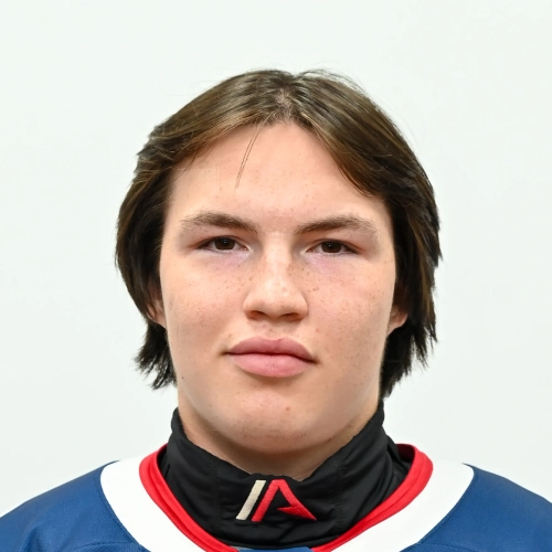 Danilov Matvei Alekseevich