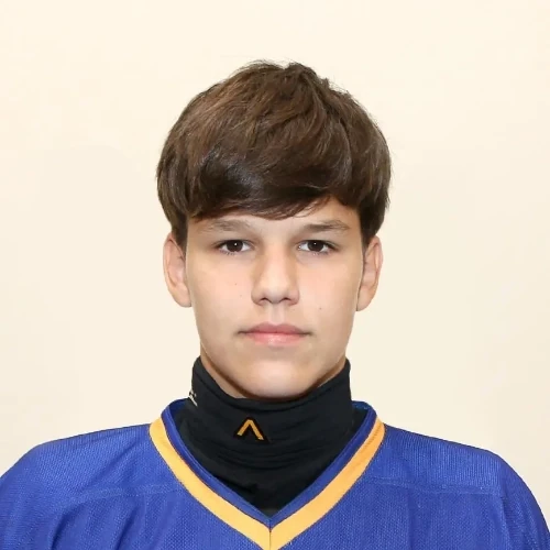 Mysyk Nikita Aleksandrovich
