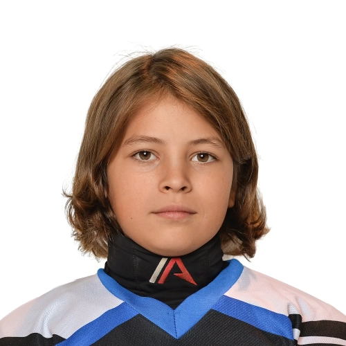 Моисеев Ярослав Иванович