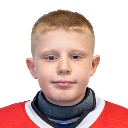 Cherepanov Artem Konstantinovich