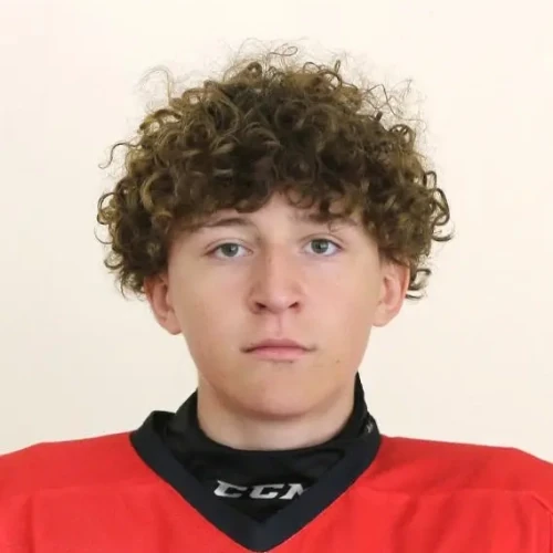 Shteinikov Artem Leonidovich
