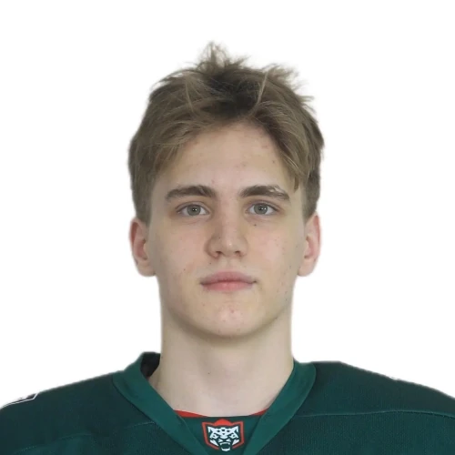 Safonov Vladimir Andreevich