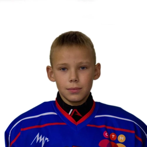 Rybakov Arsenii Sergeevich