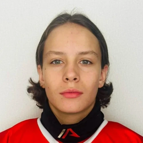 Razvodov Artem Vitalevich