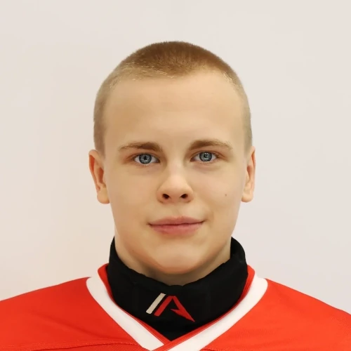 Danilkin Vladimir Alekseevich
