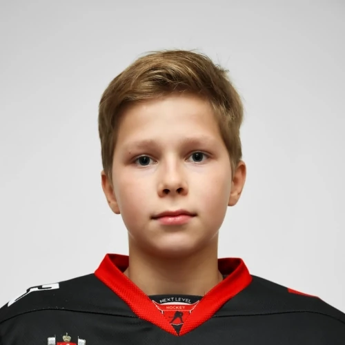 Vlasov Konstantin Evgenevich