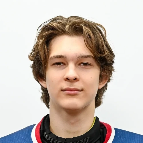 Galeev Damir Maratovich