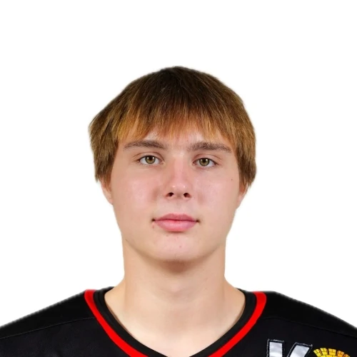 Ilinyh Sergei Andreevich