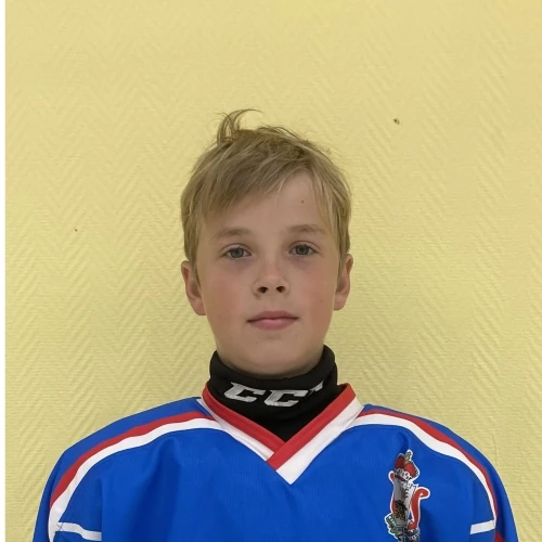Ryabinin Vsevolod Vasilevich