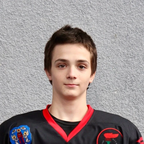Bezgin Mihail Vladimirovich