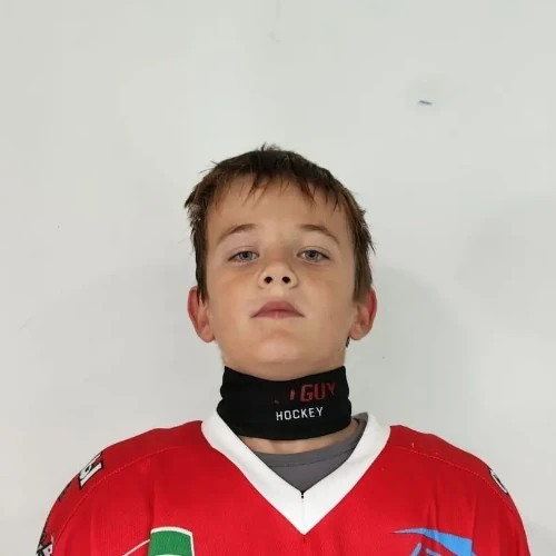 Moiseev Maksim Aleksandrovich