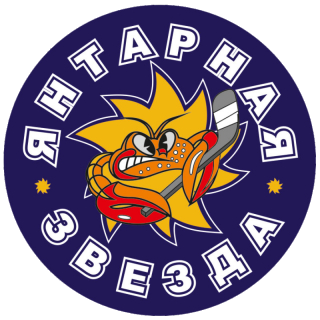 "Янтарная Звезда" 2008-2