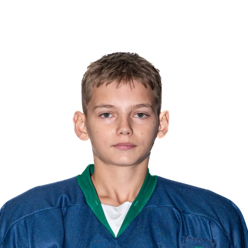 Novoselov Mihail Denisovich