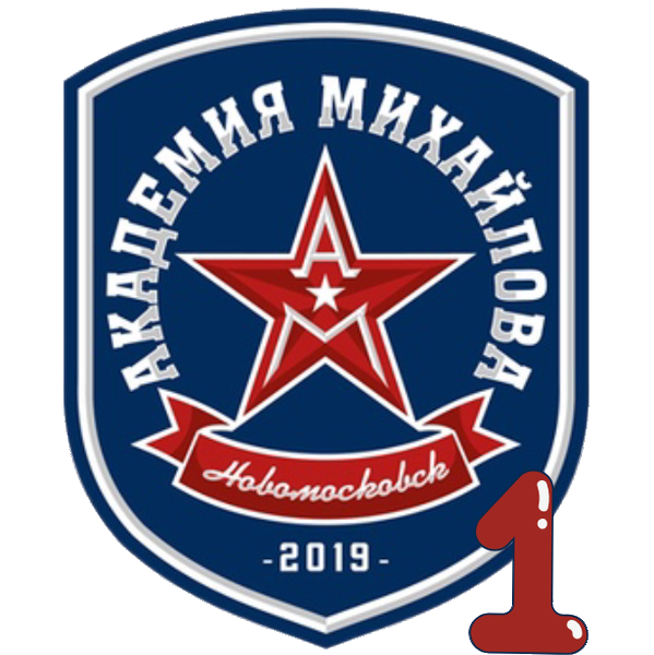 Ак. Михайлова г. Новомосковск - 1 2019