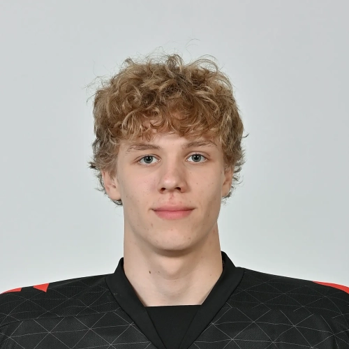 Burmistrov Kirill Maksimovich