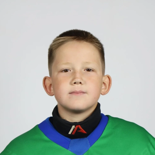 Salimov Matvei Rinatovich