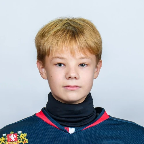 Holod Nikita Sergeevich