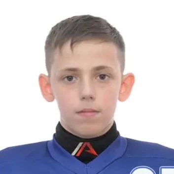 Borovik Arkadii Olegovich