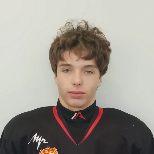 Poroshin Nikita Alekseevich