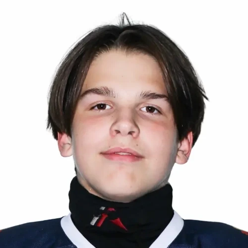 Potapov Ilya Vyacheslavovich
