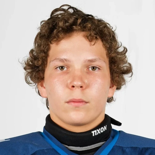 Kulgutin Timofei Sergeevich