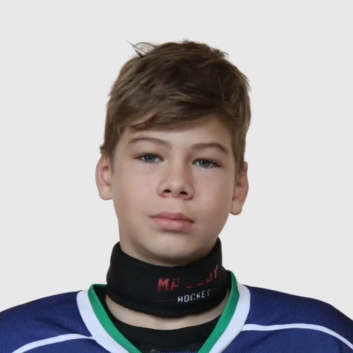 Simonenko Aleksandr Vladimirovich