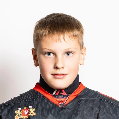 Borozdinskii Ilya Egorovich