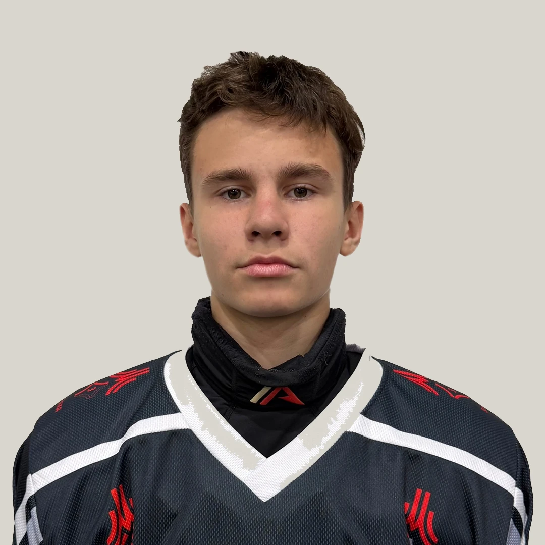 Krylov Pavel