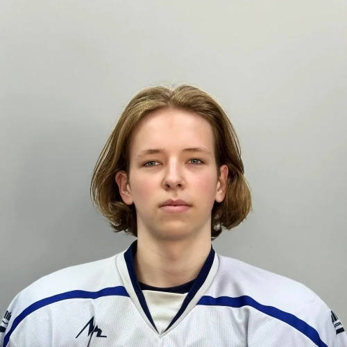 Pushkarev Ilya Artemovich