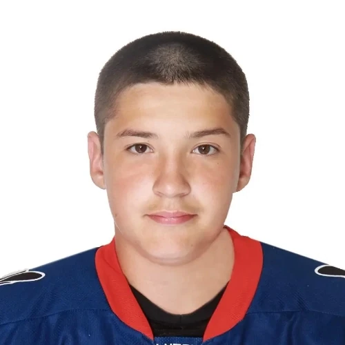 Tarasov Egor Igorevich