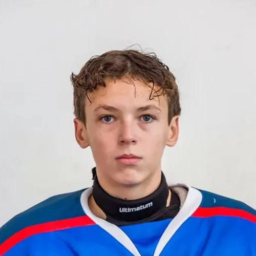 Vostrikov Timur Denisovich