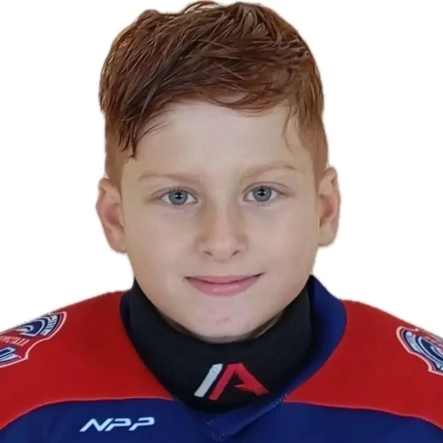 Voronov Artem Maksimovich