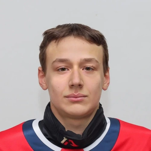 Nikolaev Arsenii Vladislavovich