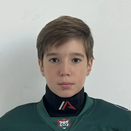 Minakov Artur Ilhamovich
