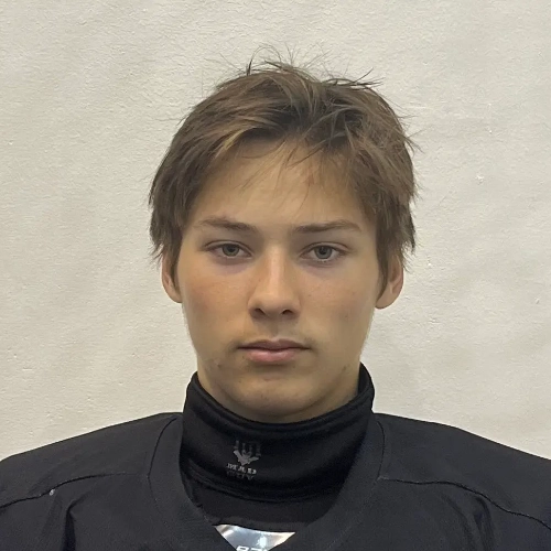 Vedenin Roman Dmitrievich
