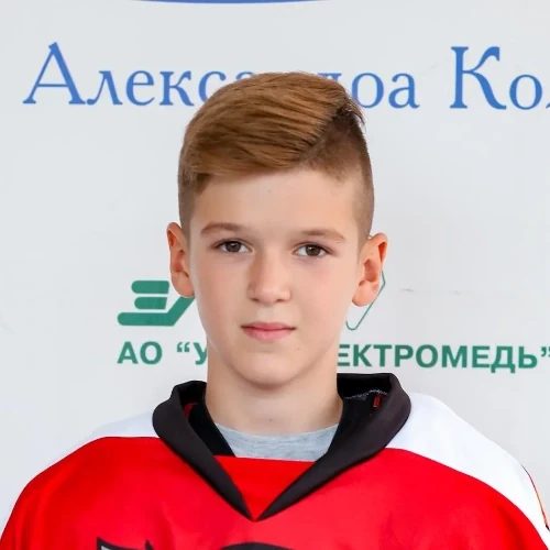 Novikov Artem Dmitrievich