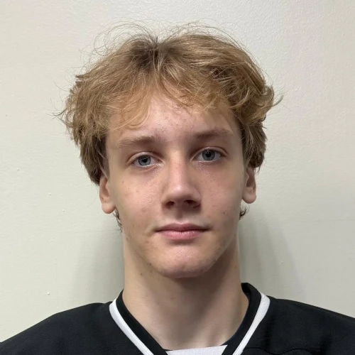 Vainer Vladislav Evgenevich