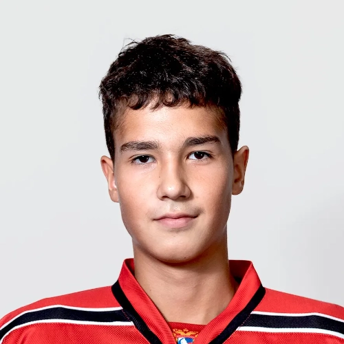 Hairullin Daniel Rinatovich