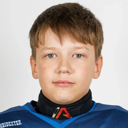 Alekseev Artem Viktorovich