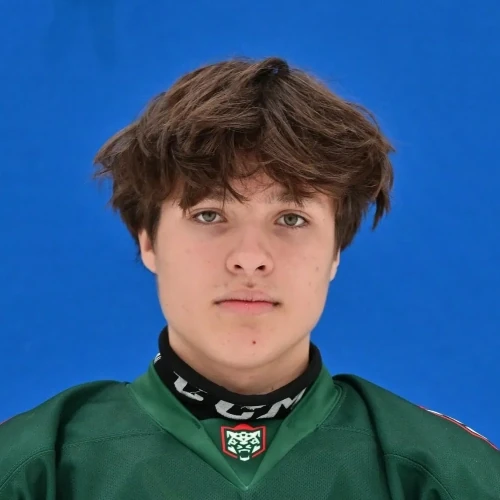 Pistsov Artem Aleksandrovich