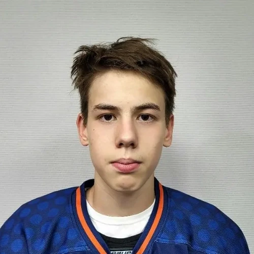 Sharipov Danil Ravilevich