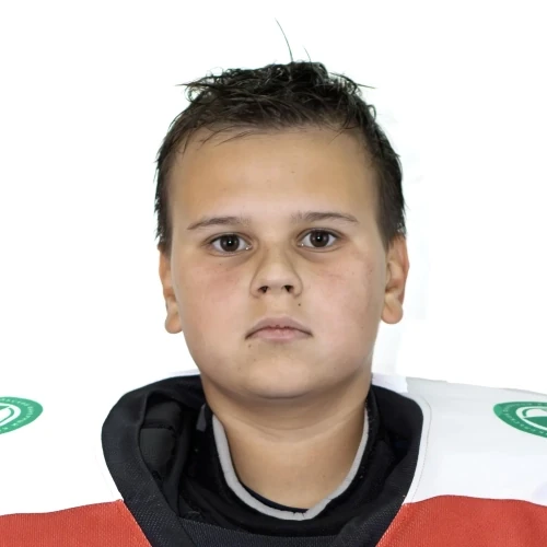Mihailov Matvei Vyacheslavovich