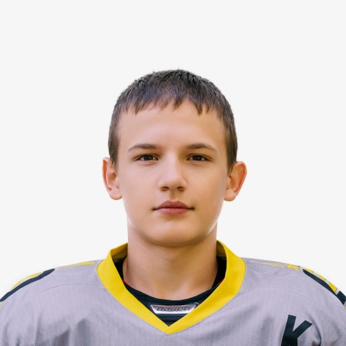 Shipilov Timofei Alekseevich