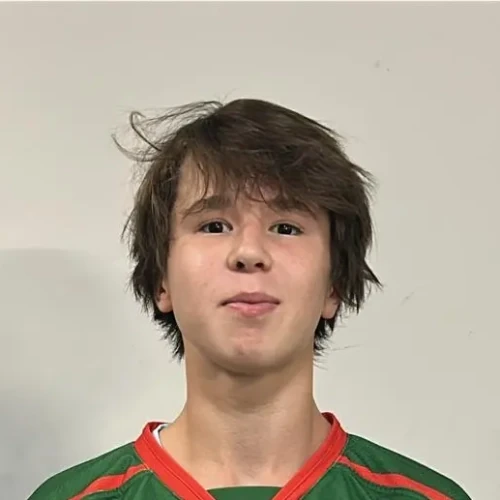 Biktagirov Hakim Damirovich