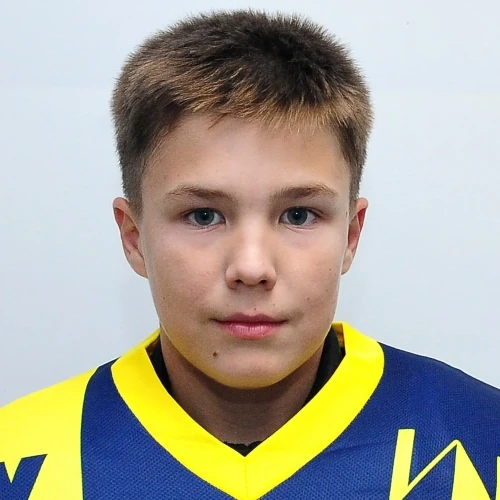 Gavrilov Vladislav Mihailovich